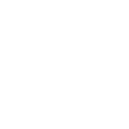 VjiaVjen logo
